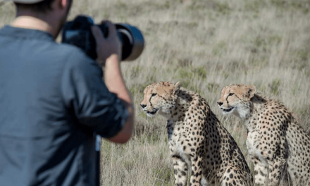 An African Adventure For Start Ups & Entrepreneurs