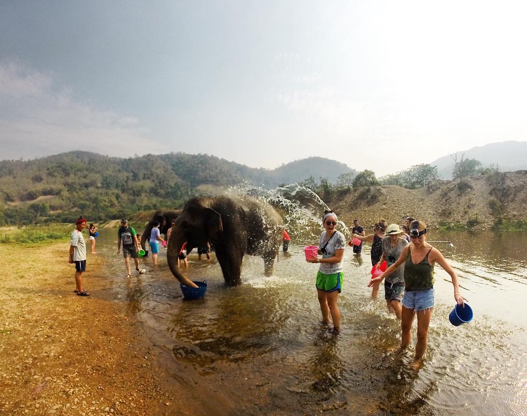 Elephant Nature Park instagram photo by @nattchann