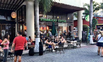 5 Reasons Why Playa Del Carmen is a Remote Workers Paradise