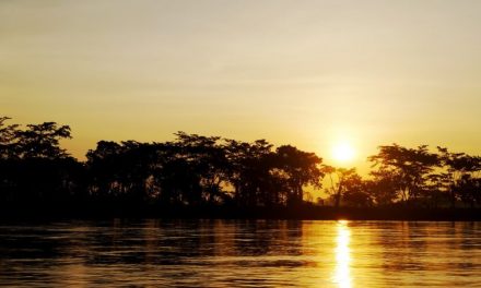 Coworking In Colombia: 5 Spaces With Great Reviews