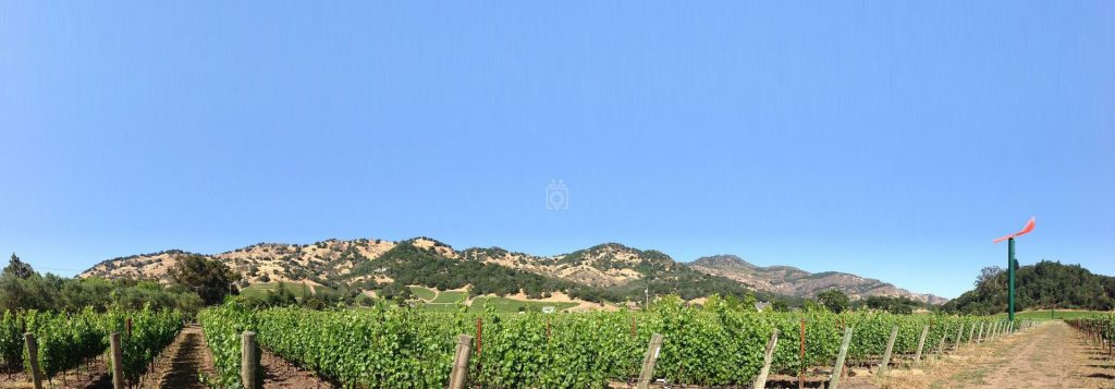 Coworking Space in Wine Country