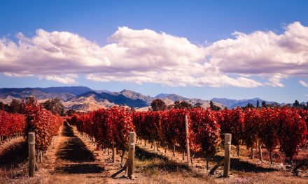 4 Coworking Spaces in Wine Country