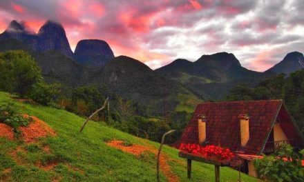 In Need of a Detox? Join Digital Detox Camp ~ Brazil
