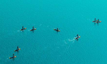 Top Paddle Boarding Locations Nearby Coworking Spaces