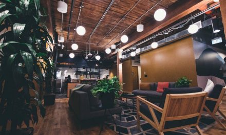 Human-Centric: What Professionals Look for in a Coworking Space