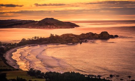 Celebrating New Zealand’s National Coworking Day and Twinned Coworking Communities