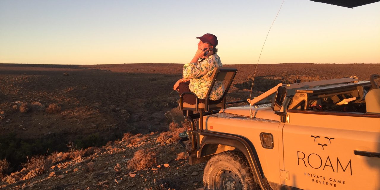 Embark on a South African Adventure with Coworking Safari