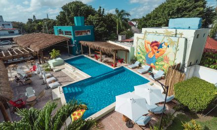 Join Selina on the ‘Great Mexican Roadtrip’ for Digital Nomads