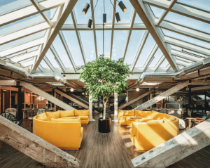 A coworking space with yellow chairs.
