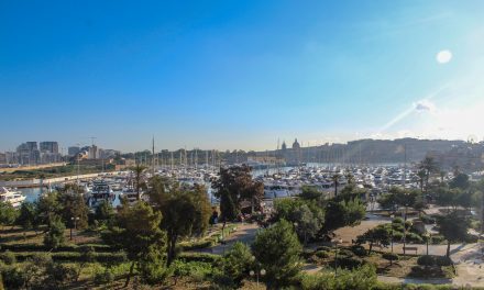A View of Glashaus Coworking through the Lens of Its Malta Members