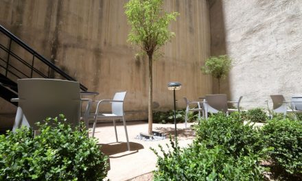 ViOS Coworking: Turning Workplace Well-being into a Philosophy
