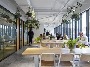 A coworking space with plants and sustainable design tactics.