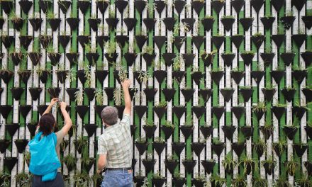 Easy Ways to Encourage Sustainability at Your Flex Office