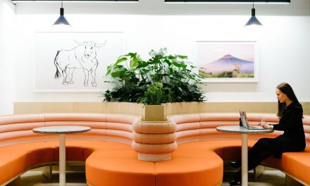 Collaborative Canvas: How Coworking Spaces Fuel Graphic Designers’ Success
