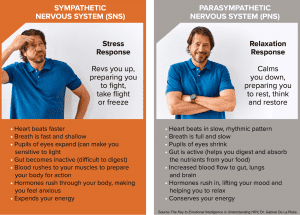 A graphic showing inights about workplace stress.