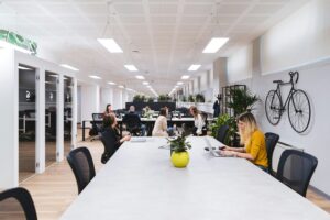 People working together in a shared office space.