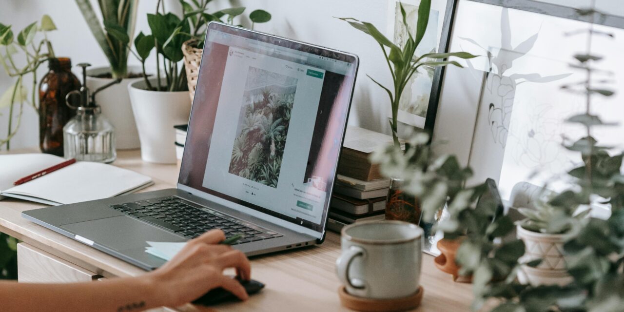 Building a Strong Freelance Brand: Tips & Strategies